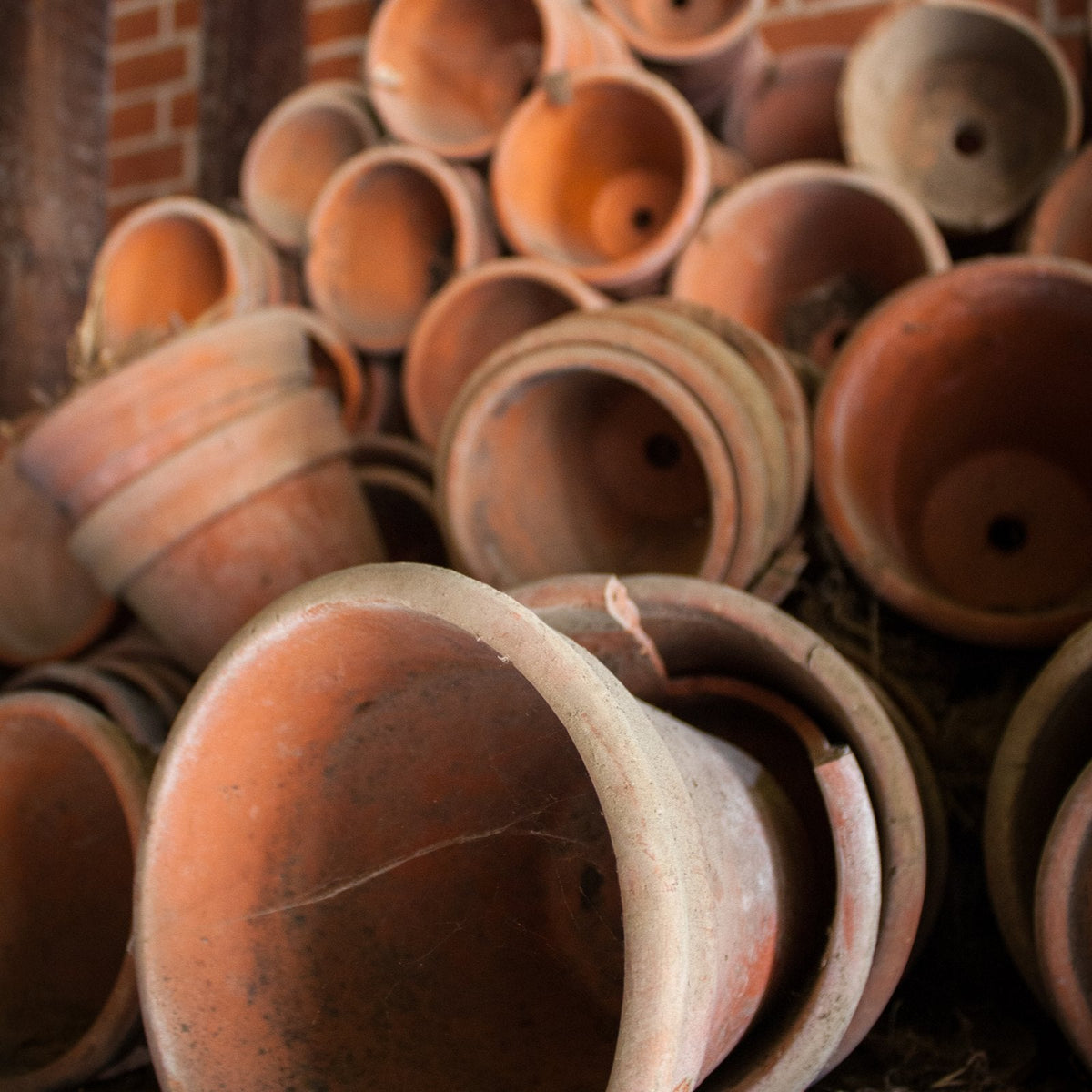 Terracotta pots