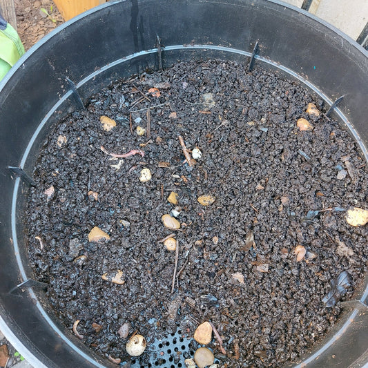 Vermicompost, 5kg